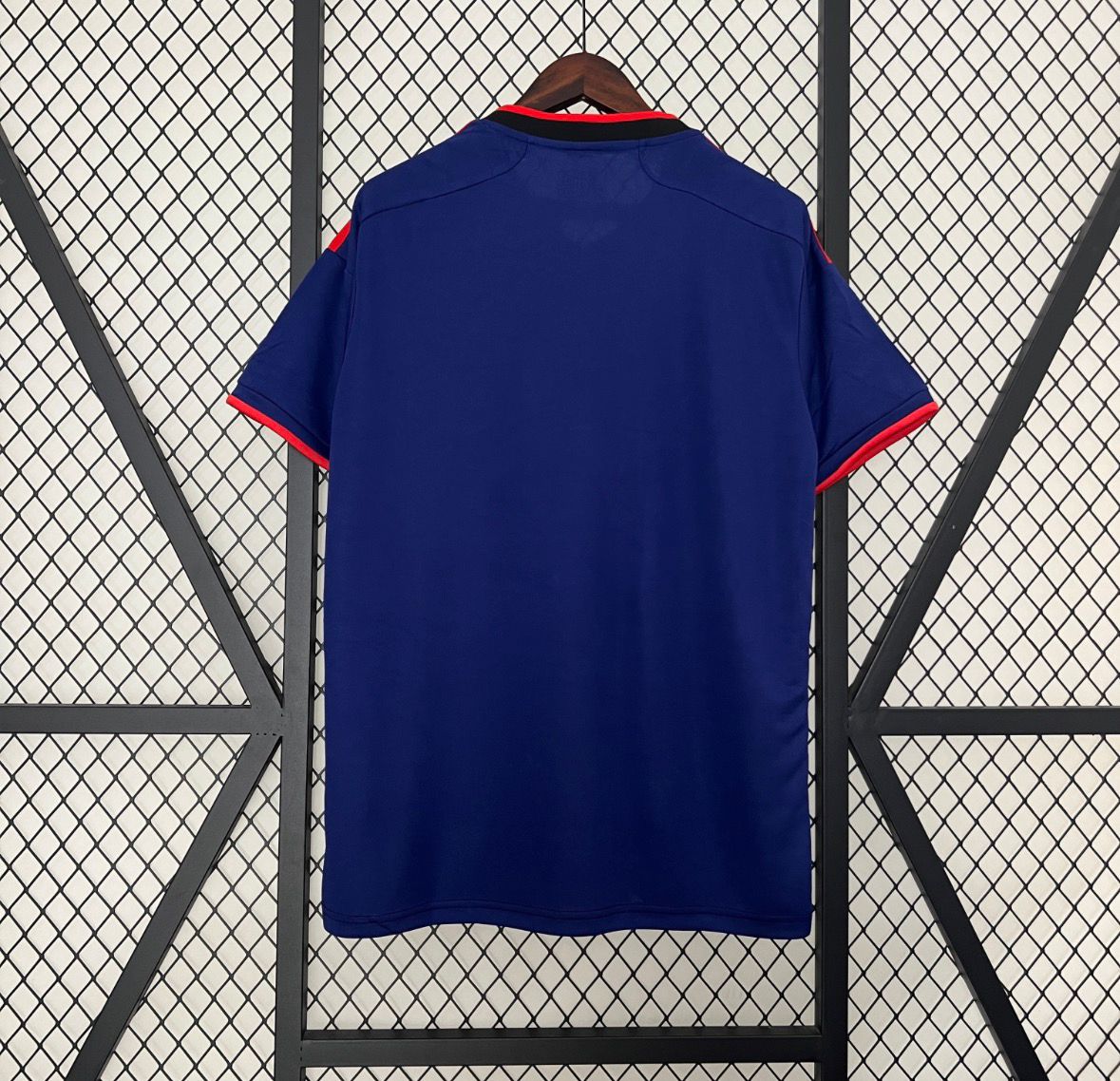 Japan Special Edition 2024