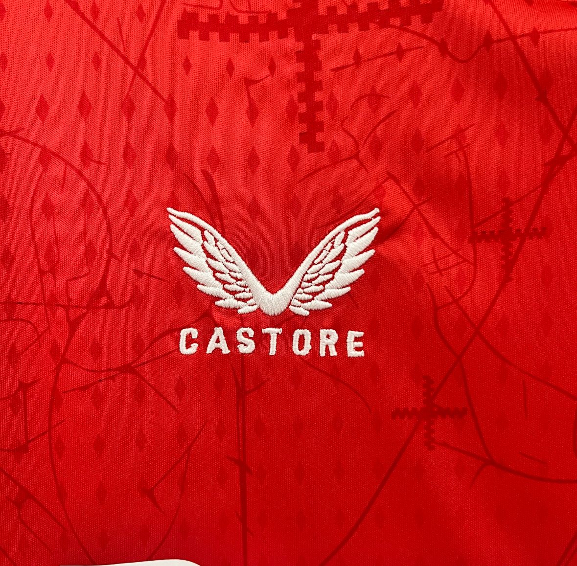 Leverkusen Home 24/25