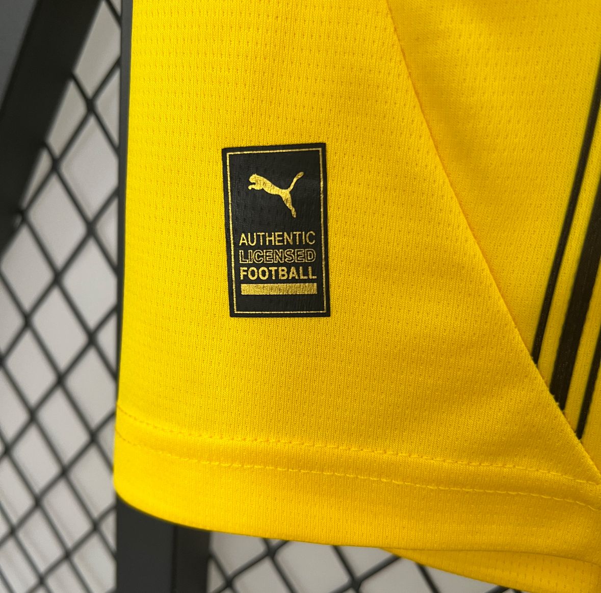Borussia Dortmund Home 24/25