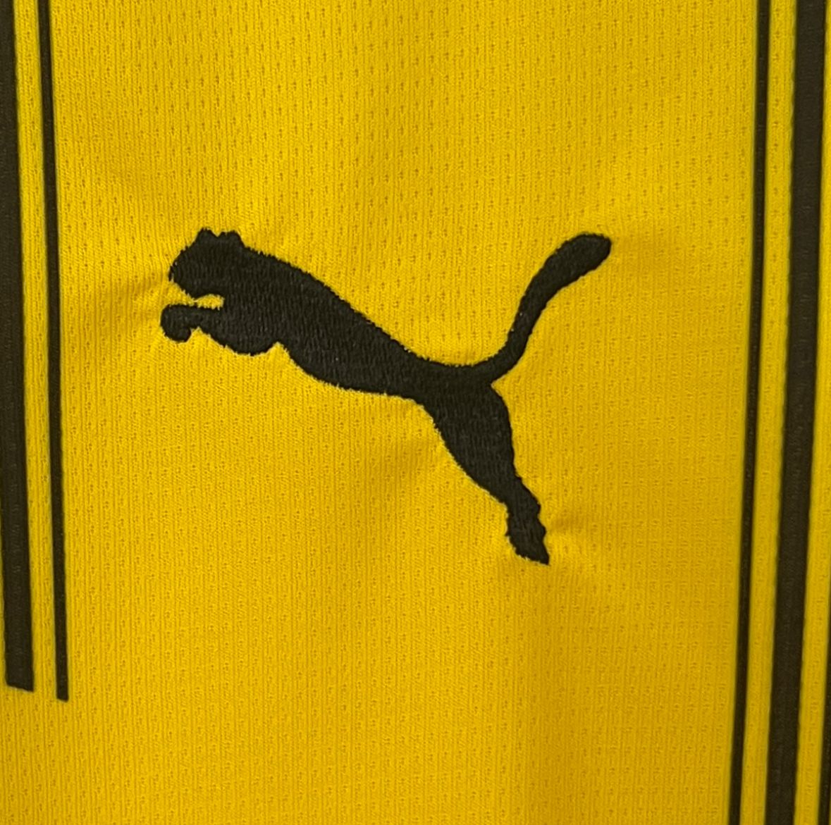 Borussia Dortmund Home 24/25