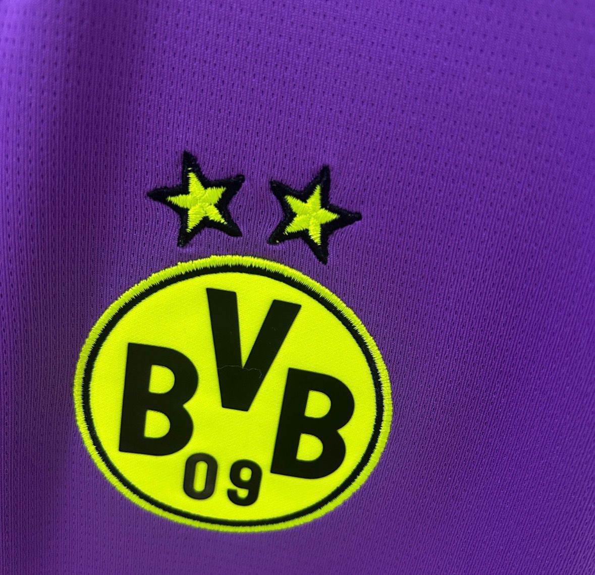 Goalkeeper Borussia Dortmund Purple 24/25