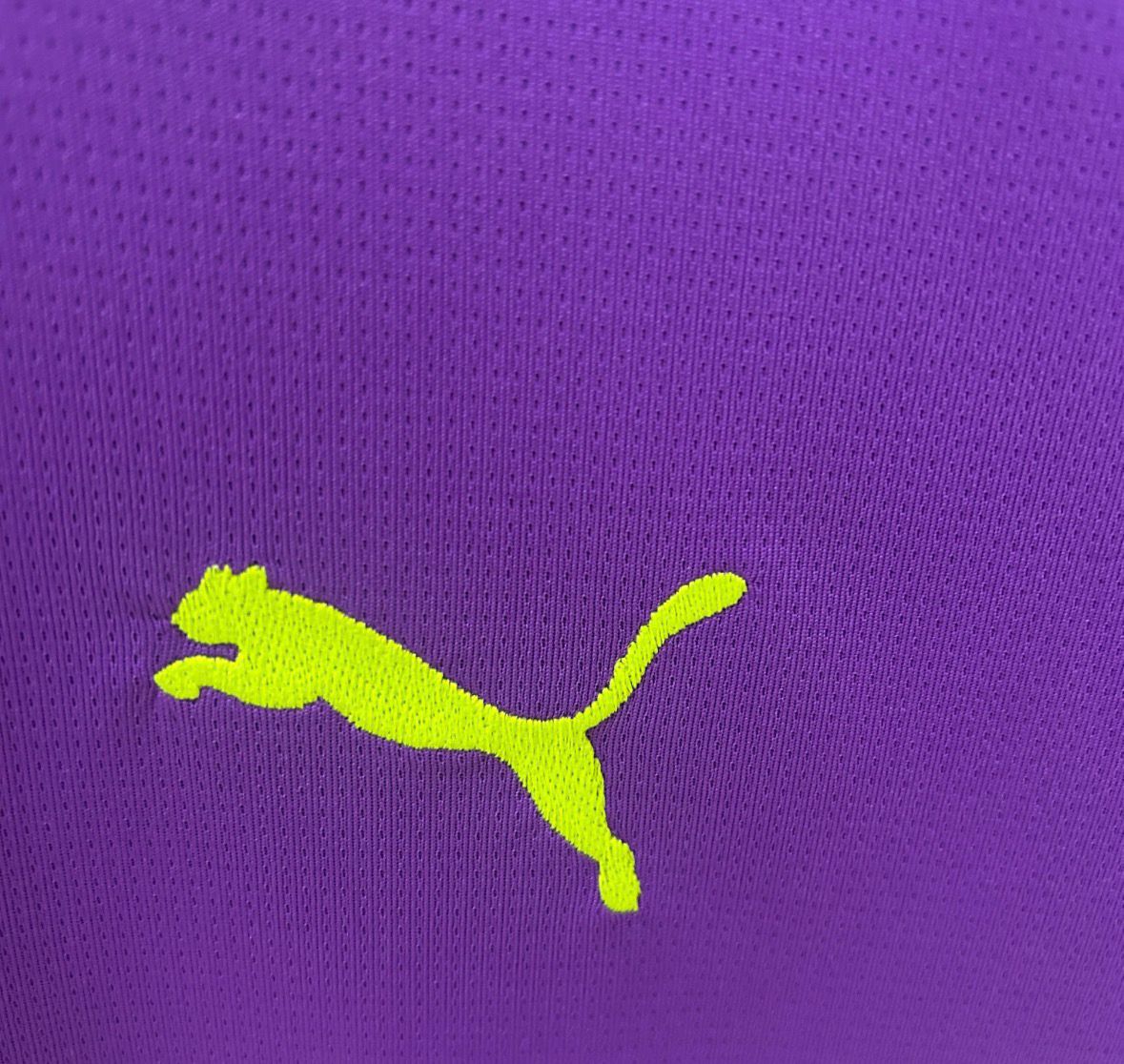 Goalkeeper Borussia Dortmund Purple 24/25