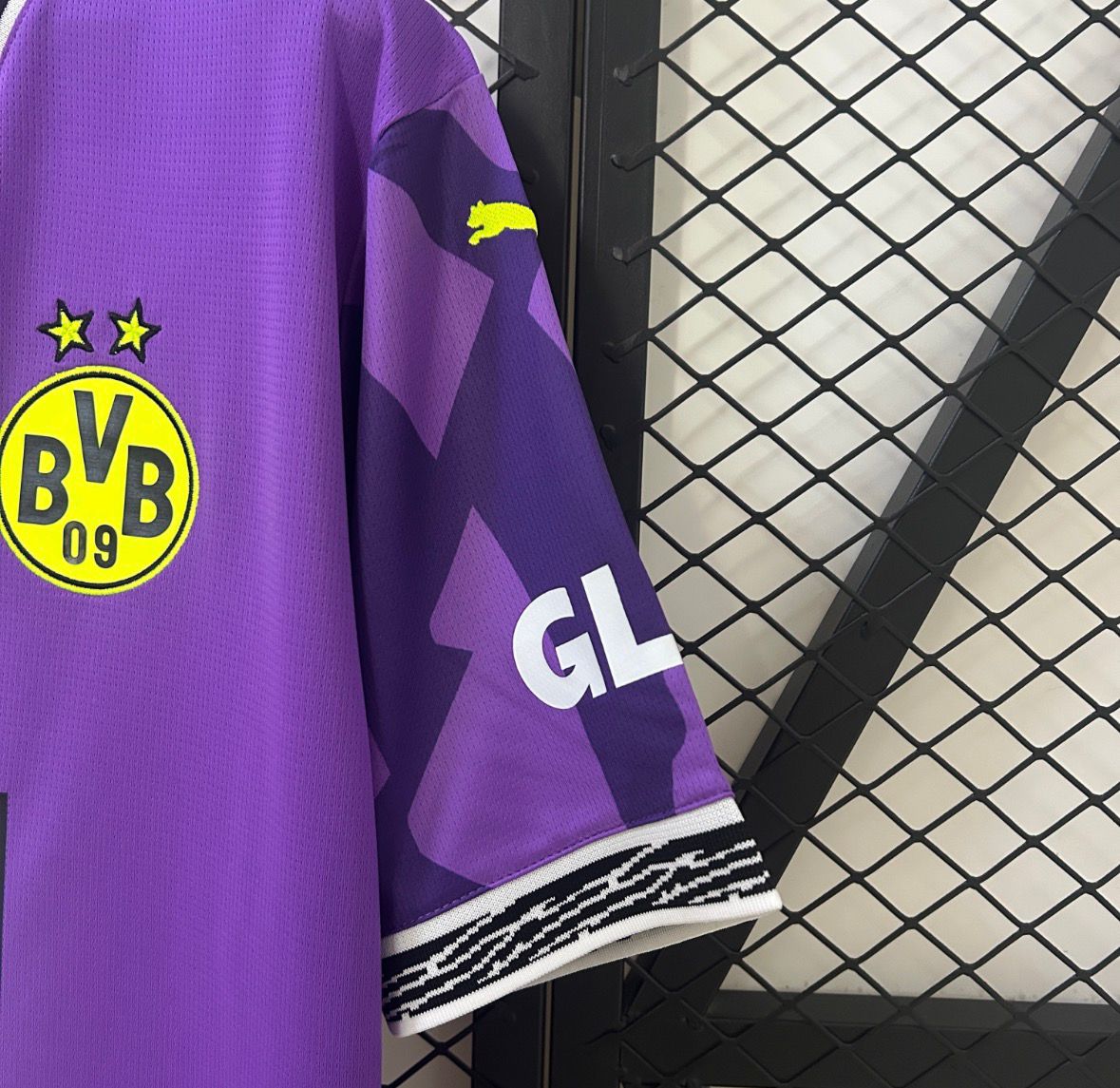 Goalkeeper Borussia Dortmund Purple 24/25