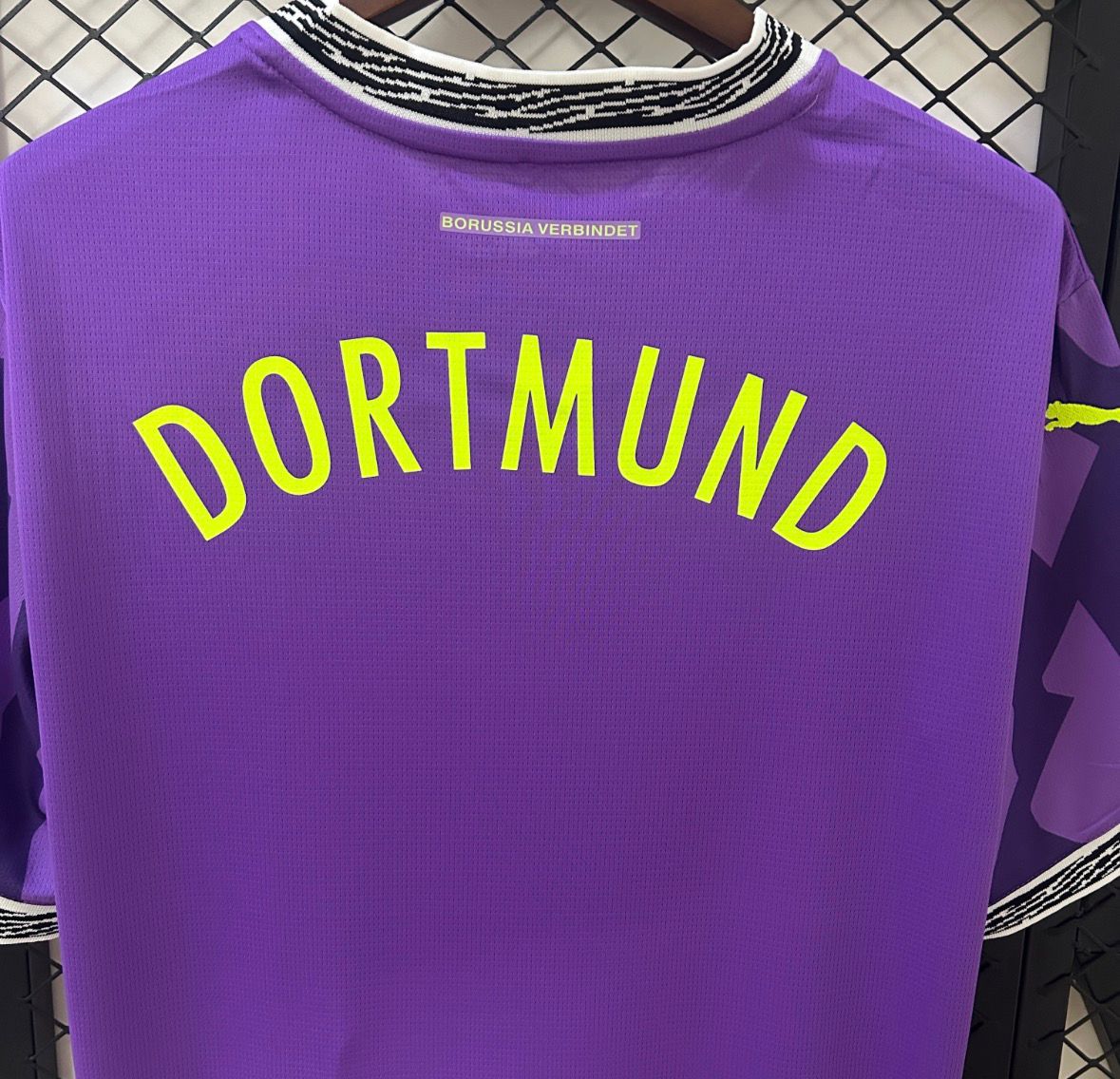 Goalkeeper Borussia Dortmund Purple 24/25