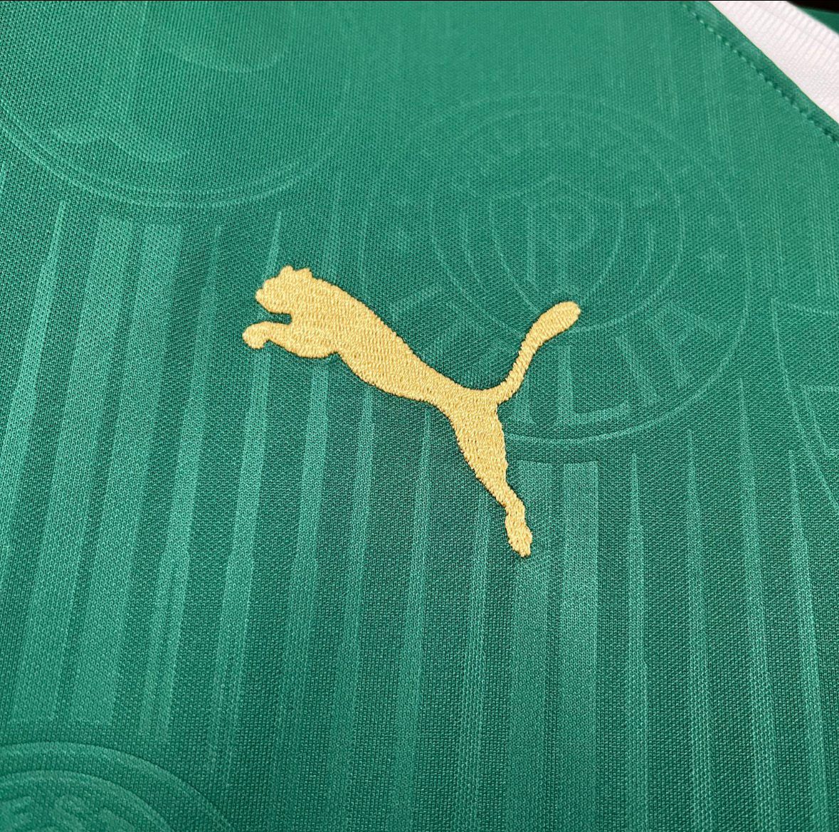 Palmeiras Home 24/25